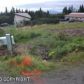 4155 Pennock Street, Homer, AK 99603 ID:6940819