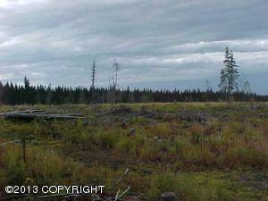 L49 Stacey Lane, Homer, AK 99603