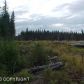 L49 Stacey Lane, Homer, AK 99603 ID:6968868