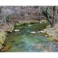 0 Carver Mill Road, Talking Rock, GA 30175 ID:7377438