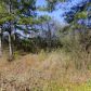 11 COUNTY ROAD 1592, Baileyton, AL 35019 ID:1186053