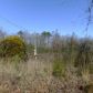 11 COUNTY ROAD 1592, Baileyton, AL 35019 ID:1186059