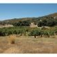 907 Orchard Ln, Santa Ysabel, CA 92070 ID:1966050