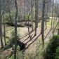 34 Beaver Lane, Dahlonega, GA 30533 ID:7576589