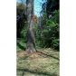 6960 Rivertown Road, Fairburn, GA 30213 ID:7884610