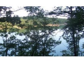 Lot 9 Longview Landing, Arley, AL 35541