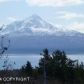 167 E Danview Ave & 4135 Calhoun St., Homer, AK 99603 ID:7882849