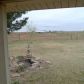 12311 E County Road 6000, Lorenzo, TX 79343 ID:456922