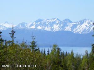 54605 Rolling Meadows Road, Homer, AK 99603