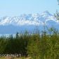 54605 Rolling Meadows Road, Homer, AK 99603 ID:6887942