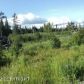 L6 Morrison Drive, Homer, AK 99603 ID:7848792