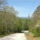 199 Lovelace Road, Clarkesville, GA 30523 ID:7993113