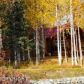 3559 S Horseshoe Lake Road, Big Lake, AK 99652 ID:8007810