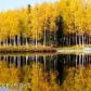 3559 S Horseshoe Lake Road, Big Lake, AK 99652 ID:8007811