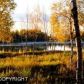 3559 S Horseshoe Lake Road, Big Lake, AK 99652 ID:8007812