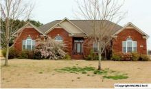 219 Reeney Drive New Market, AL 35761