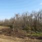 63 Acres CR 737, Alicia, AR 72410 ID:1171445