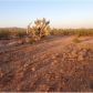 415 Tom Mix Rd, Yucca, AZ 86438 ID:5053448