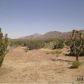 5876 Rock Ledge, Yucca, AZ 86438 ID:5053713