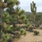 Lot 140 Arroyo Vista Dr, Yucca, AZ 86438 ID:5053470