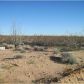 0000 Cameron Rd, Yucca, AZ 86438 ID:5053303