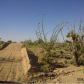 Lot 803 Kit Carson Rd, Yucca, AZ 86438 ID:5053492