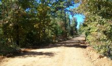 631 Griffin Road Hardy, AR 72542