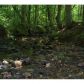 2 Wild Azalea Trail, Dahlonega, GA 30533 ID:7809958