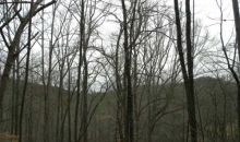 0 Meadow Trail Cherrylog, GA 30522