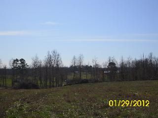 COUNTY ROAD 1711, Baileyton, AL 35019