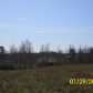 COUNTY ROAD 1711, Baileyton, AL 35019 ID:1186028