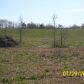 COUNTY ROAD 1711, Baileyton, AL 35019 ID:1186029