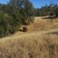 37340 Road 800, Raymond, CA 93653 ID:1140918