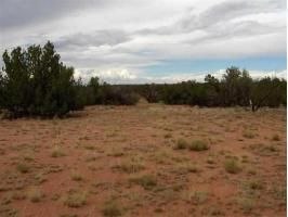 Sec 7 Chevelon Acres, Heber, AZ 85928