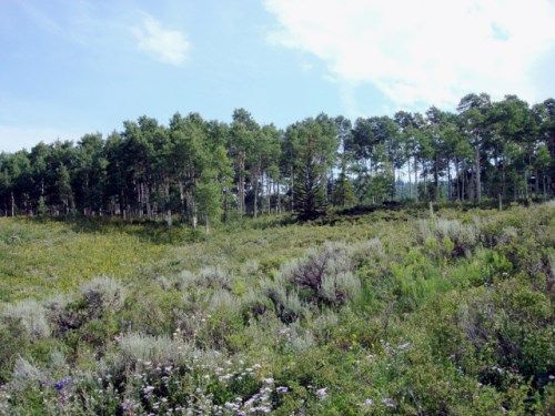 313 Lower Bear Mtn., Kremmling, CO 80459