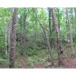 0 Little Hawk Road, Sautee Nacoochee, GA 30571 ID:3443050