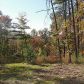 0 Little Hawk Road, Sautee Nacoochee, GA 30571 ID:3443057