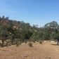 176 AC Misty Ridge Road, Raymond, CA 93653 ID:1140907