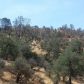 37749 Misty Ridge Road, Raymond, CA 93653 ID:1140881