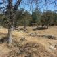 37749 Misty Ridge Road, Raymond, CA 93653 ID:1140884