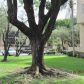 10625 SW 112 AV # 114, Miami, FL 33176 ID:600303