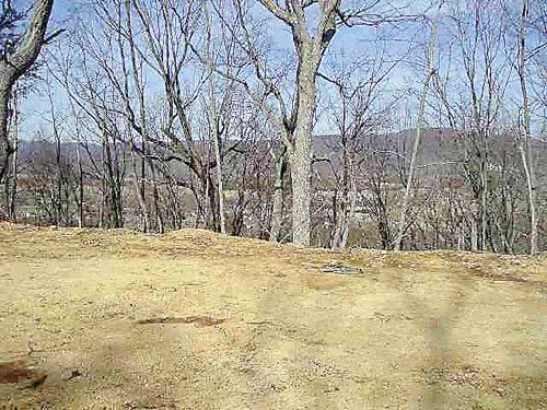 Lot 29 Proffit Ridge, Mooresburg, TN 37811