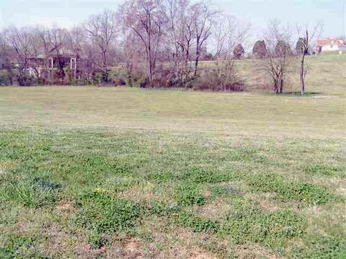 4004 Paradise Drive, Mooresburg, TN 37811