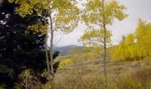 670 CR 286/Upper Bear Mtn. Kremmling, CO 80459