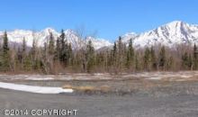 L1 B1 E Phoenicia Drive Palmer, AK 99645