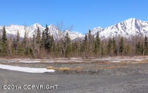 L1 B1 E Phoenicia Drive, Palmer, AK 99645