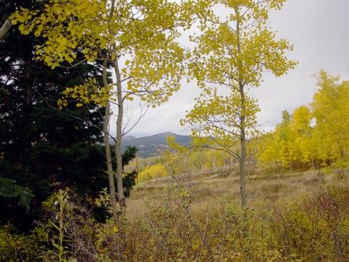 670 CR 286/Upper Bear Mtn., Kremmling, CO 80459