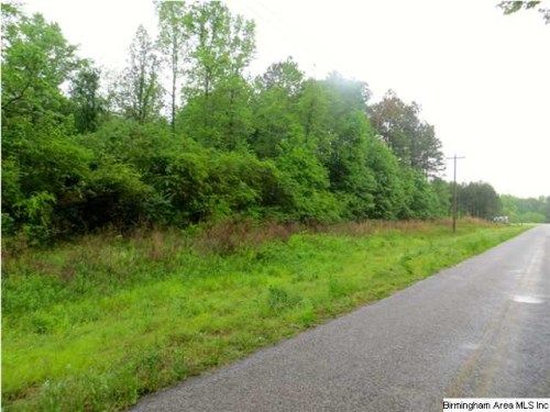 0 PATTON CHAPEL RD 164ACRES, Lincoln, AL 35096