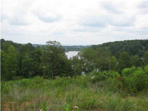 432 KREEK KNOLL 1, Lincoln, AL 35096