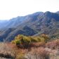 0 Little Sycamore Canyon Rd, Malibu, CA 90265 ID:1867328